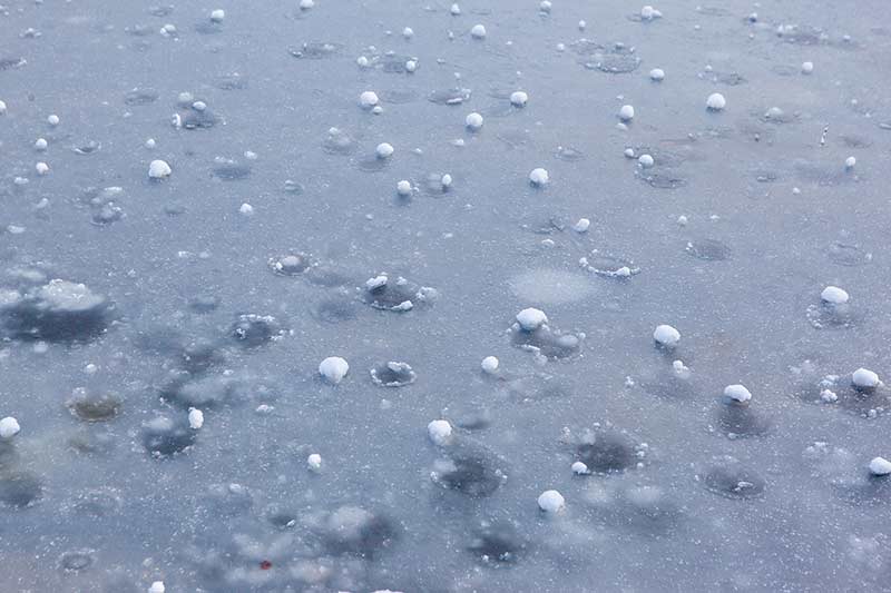 file claim for hail damage